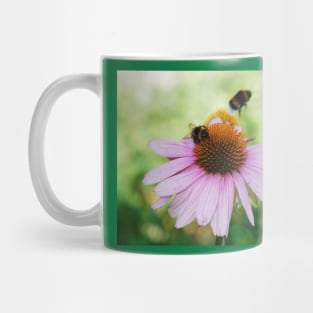 Echinacea Purpurea with Bees Mug